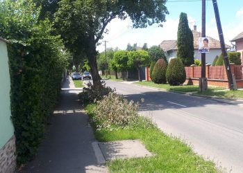 Növényzet visszavágási munkákat végez Vácon az ELMŰ