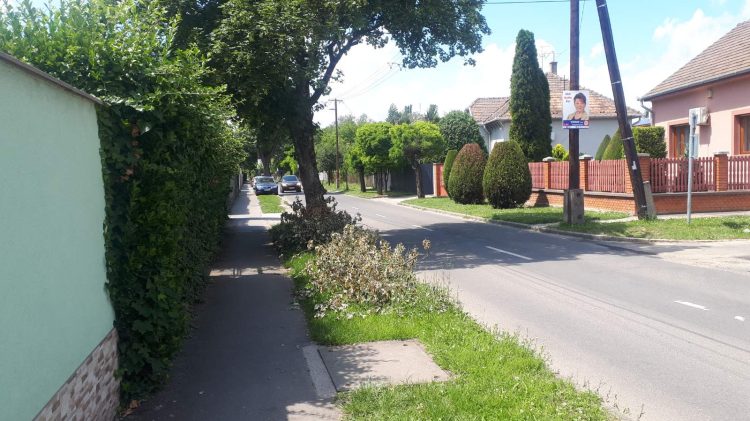 Növényzet visszavágási munkákat végez Vácon az ELMŰ