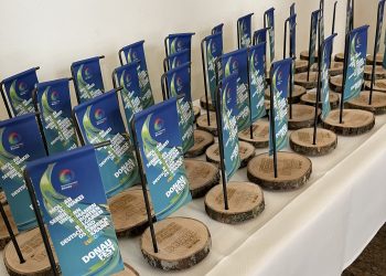 A Duna idén is összekötötte Európát