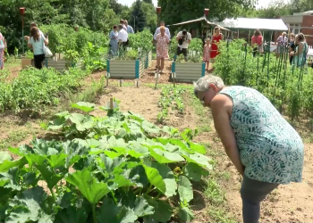 A környék legszebb tankertje