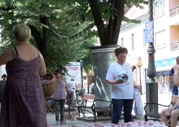 Az országos és a helyi családtámogatási rendszerről