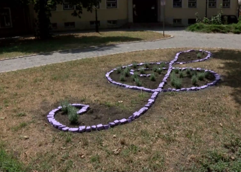 Levendulás violinkulcs a zeneiskola előtt