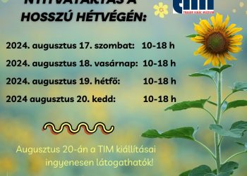 20-án ingyenesen látogatható a Sajdik Gyűjtemény