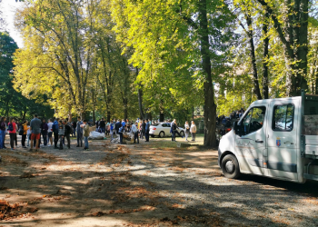 A jövő héten Ligettakarítás