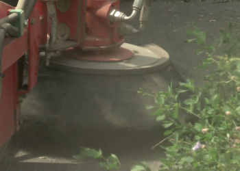 Városszerte szemétszedés és szegélyezés