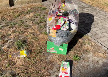 Új szinten a palackgyűjtés