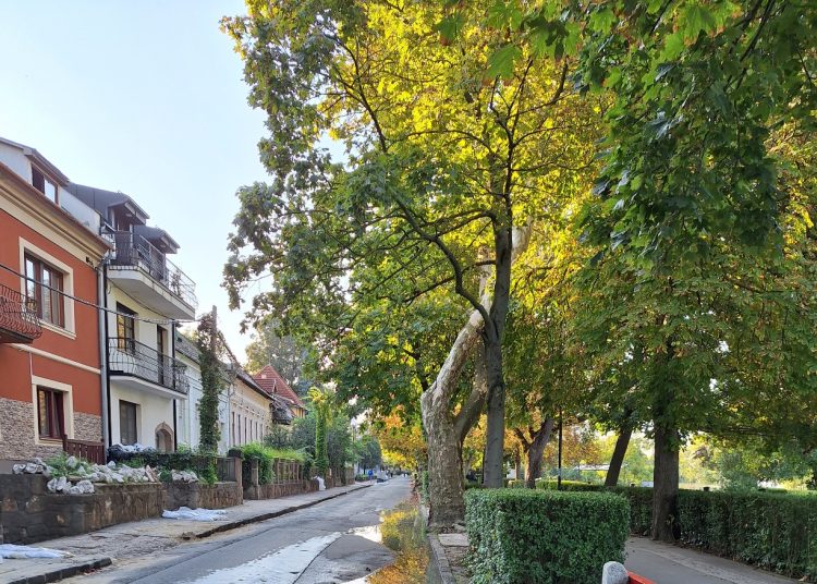 Így nézett ki az áradó Duna csütörtök reggel – galéria