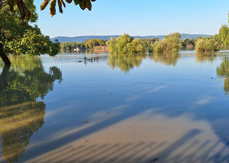 Így nézett ki az áradó Duna csütörtök reggel – galéria