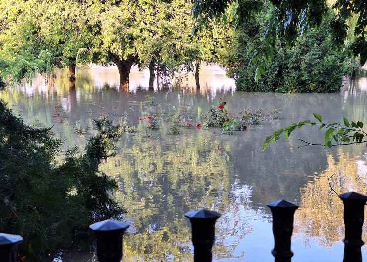 Így nézett ki az áradó Duna csütörtök reggel – galéria