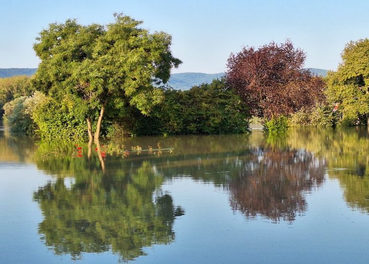 Így nézett ki az áradó Duna csütörtök reggel – galéria