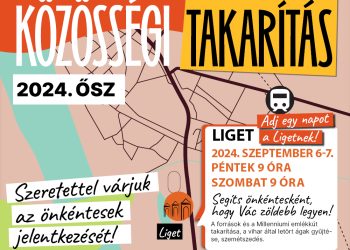 A civilek együtt takarítják a ligetet a hétvégén