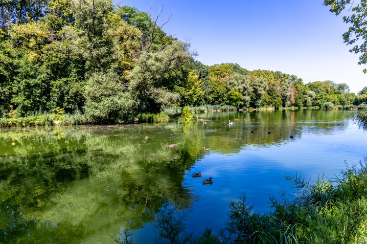 Igazán csodás története van a Liget tavának – videóval