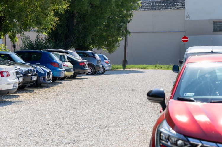 Megkezdték a Kisvác Duna-parti szakaszának a rendbetételét