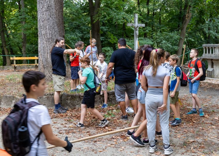 Galéria: így takarították a ligetet