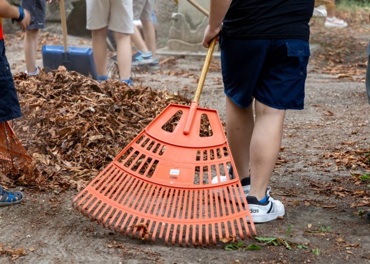 Galéria: így takarították a ligetet