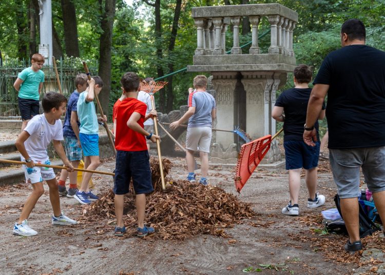 Galéria: így takarították a ligetet