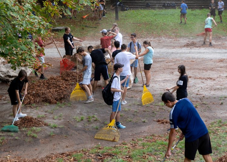 Galéria: így takarították a ligetet