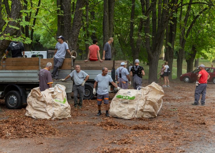 Galéria: így takarították a ligetet