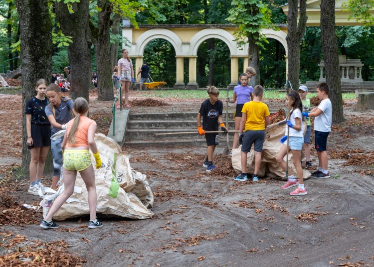 Galéria: így takarították a ligetet