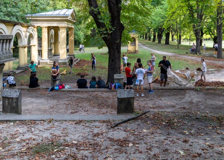 Galéria: így takarították a ligetet