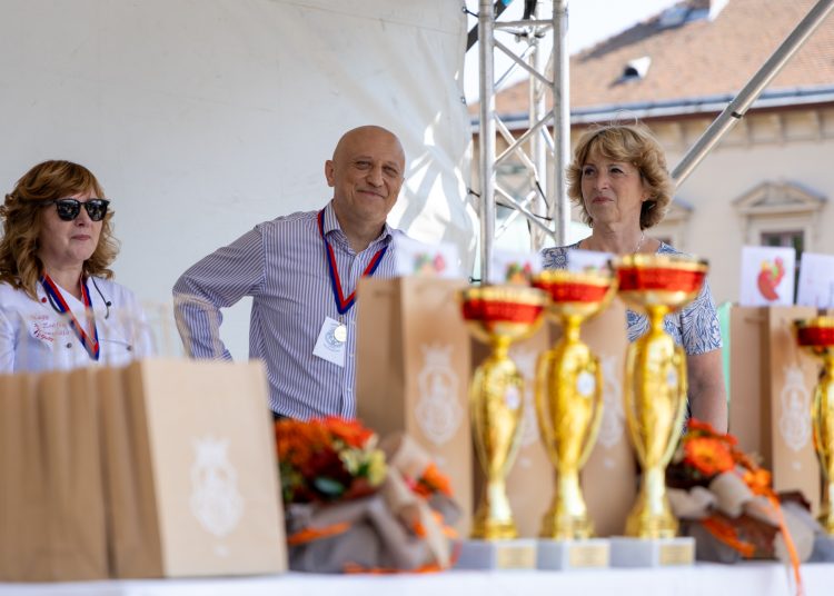 Galéria: itt vannak a képek a jubileumi váci lecsófesztiválról