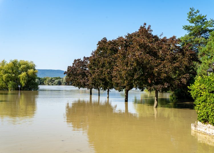 Fotógaléria: a Duna elérte a 7 métert, de a gát elkészült