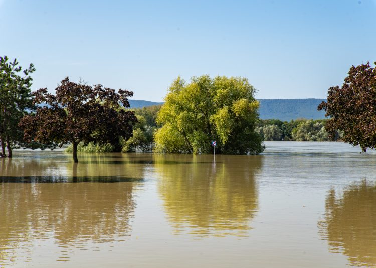 Fotógaléria: a Duna elérte a 7 métert, de a gát elkészült