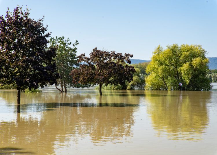 Fotógaléria: a Duna elérte a 7 métert, de a gát elkészült
