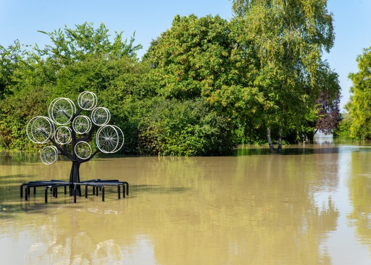 Fotógaléria: a Duna elérte a 7 métert, de a gát elkészült