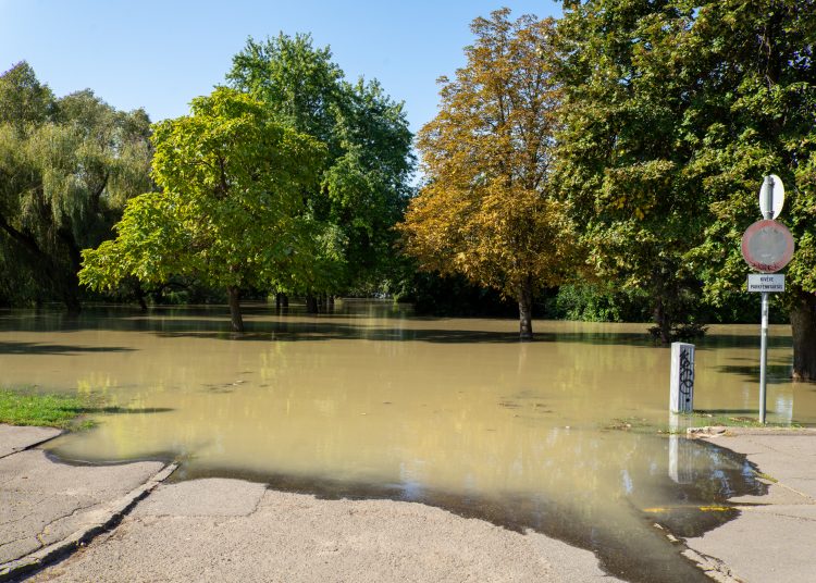 Fotógaléria: a Duna elérte a 7 métert, de a gát elkészült