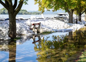 Galéria: látványos képeken az áradó Duna és a védekezés