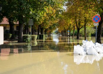 Galéria: látványos képeken az áradó Duna és a védekezés