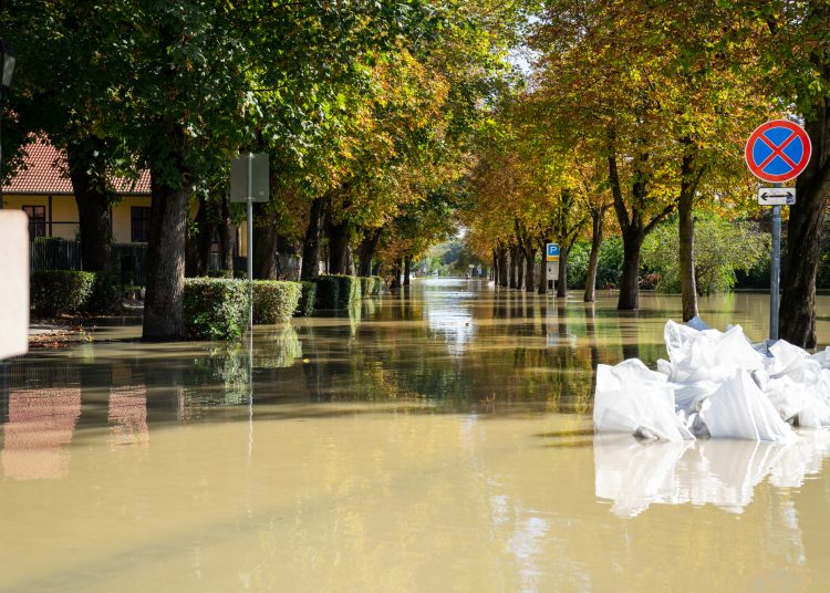 Galéria: látványos képeken az áradó Duna és a védekezés