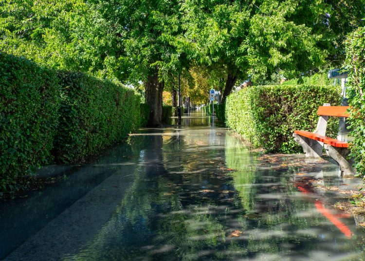 Galéria: látványos képeken az áradó Duna és a védekezés