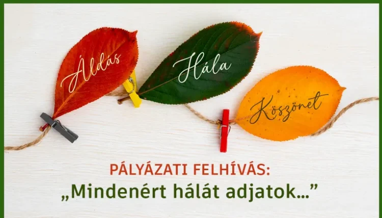 Nagykorú lett az Ars Sacra; közösségi fát állítanak – videóval