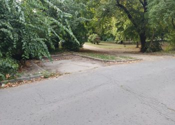 Hetente kell illegális hulladéklerakót felszámolni a Rózsakertben