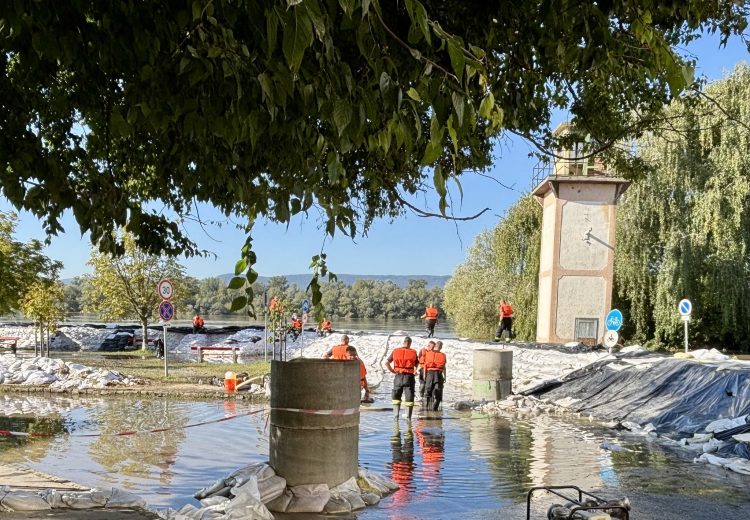 Negyven centit apadt a Duna, buzgárok veszélyeztetnek