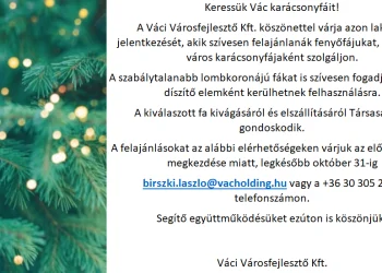 Winter Is Coming – Keresik a város karácsonyfáit