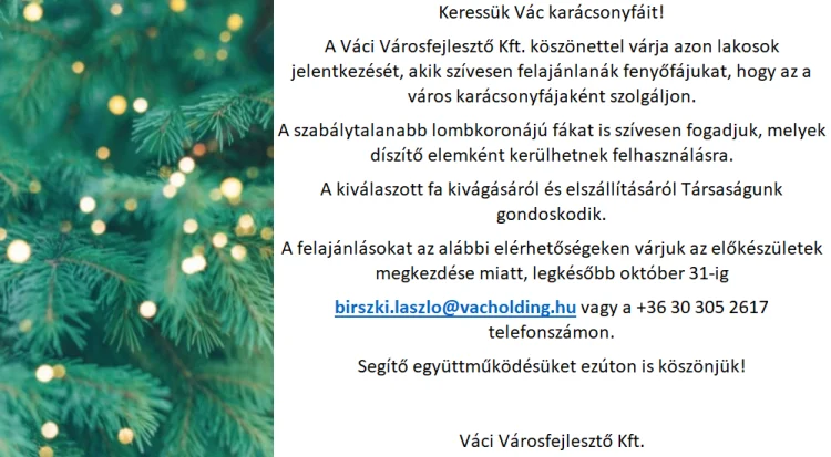 Winter Is Coming – Keresik a város karácsonyfáit