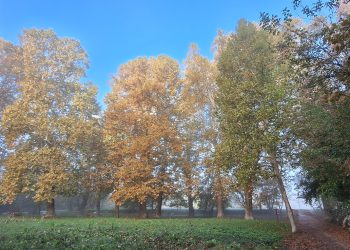 Napos, őszi időt hoz a hétvége