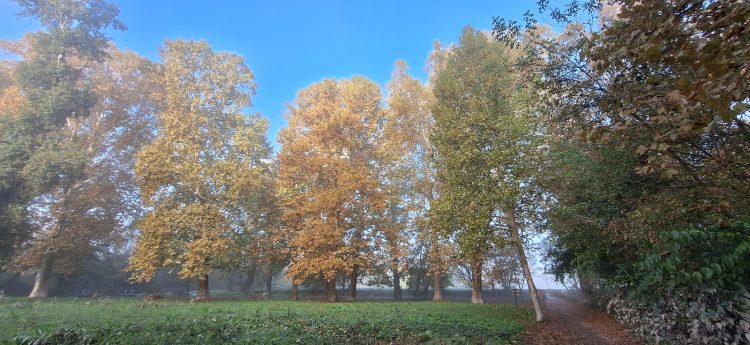 Napos, őszi időt hoz a hétvége