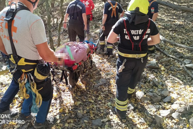 A váci hivatásos tűzoltók is részt vettek egy mentésben a Remete-barlangnál