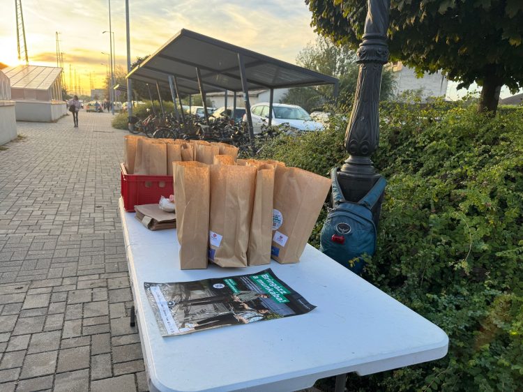 „Vác érdeke, hogy fejlődjön a kerékpáros közlekedés”