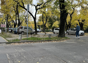 Növényvédelem a szabálytalanul parkoló autók ellen – videóval