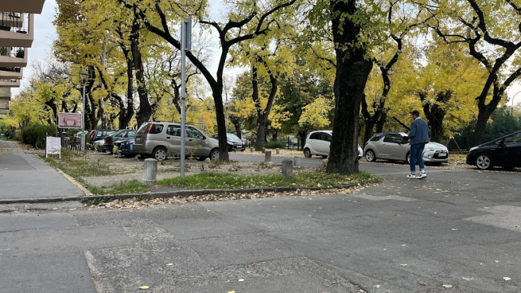 Növényvédelem a szabálytalanul parkoló autók ellen – videóval