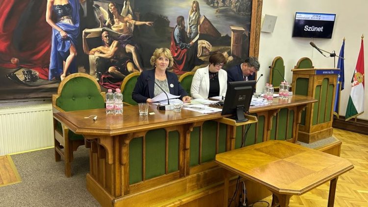 Matkovich Ilona együttműködést ajánlott a helyi ellenzéknek