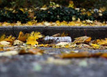 Tranzakciónként 5000 forintos limitet vezetett be automatáin a MOHU