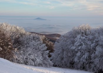 Mindenkit óvatosságra intenek a Börzsönyi Speciális Mentők