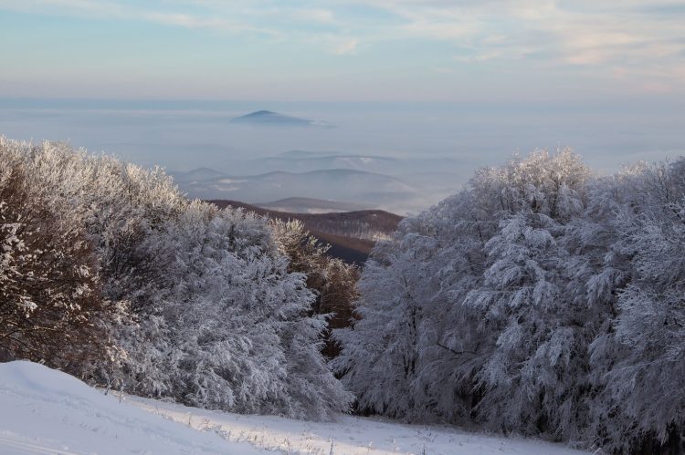Mindenkit óvatosságra intenek a Börzsönyi Speciális Mentők