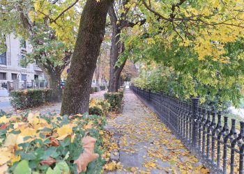 Széllel érkezik szombaton a hidegfront